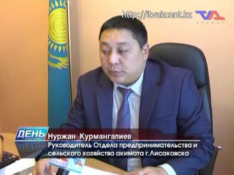 Выпуск программы «День» от 11 ноября 2016г.