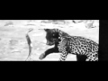 Hanni El Khatib - Fuck It. You Win. (Official ...