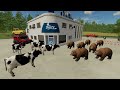 Saving cows and campers from wild bears | Farming Simulator 22