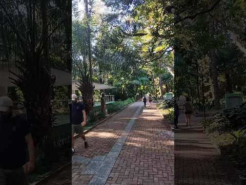 26/04/26, Araguari, MG.#turismo #viagem #araguari #minasgerais