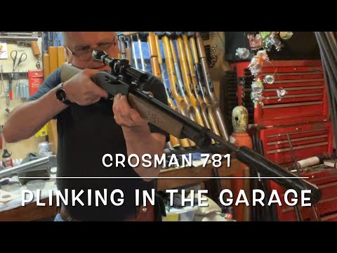 Crosman model 781 single stroke pneumatic .177 rifle plinking in the garage!