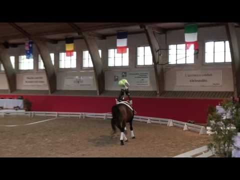 CVI Bern 2015 - Sarah Linder SUI (CVIJ2*)