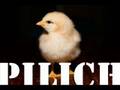Adam Sandler - My Little Chicken