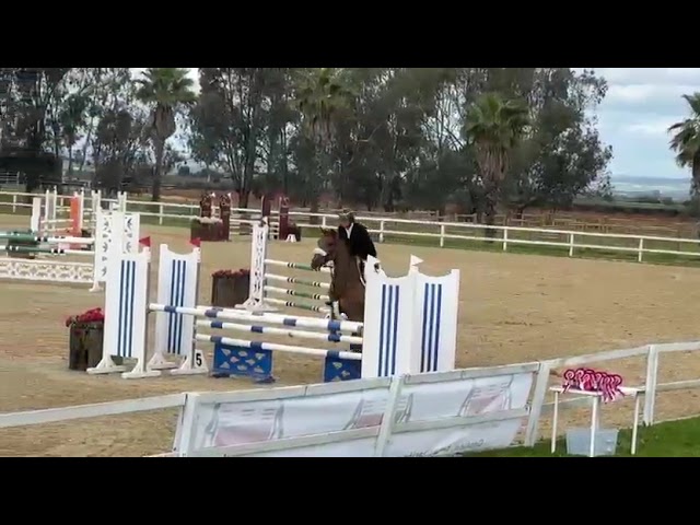 YEGUA 5 A&Ntilde;OS PROSPECTO PARA EL FUTURO 