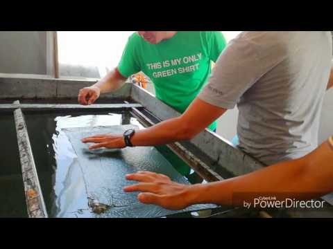 HIDROIMPRESIÓN TANQUE MOTO (Alumnos)