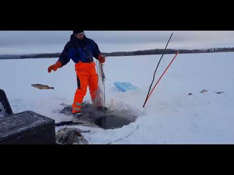 Talviverkoilla:  Kalastusta hyisellä pielisellä.