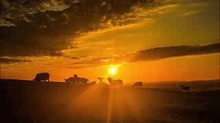 외로운 양치기 / Nana Mouskouri-The lonely shepherd.