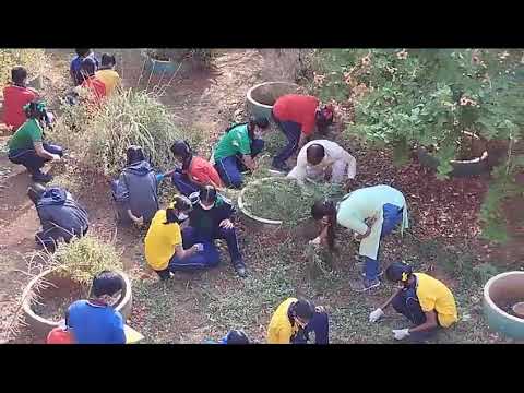 हर्बल गार्डन स्वच्छता