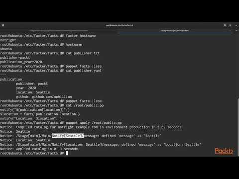 Hands On Infrastructure Automation with Puppet 6 Creating an External Fact | packtpub com