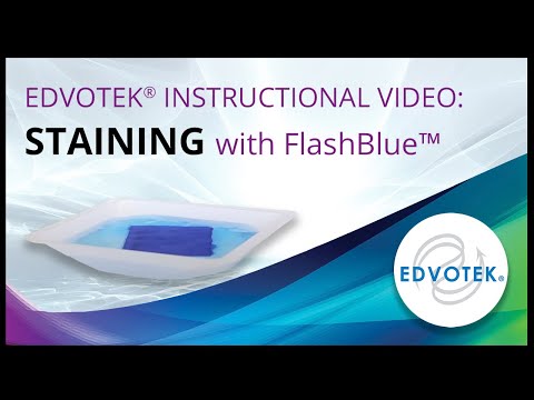 FlashBlue™ - Edvotek Video Tutorial