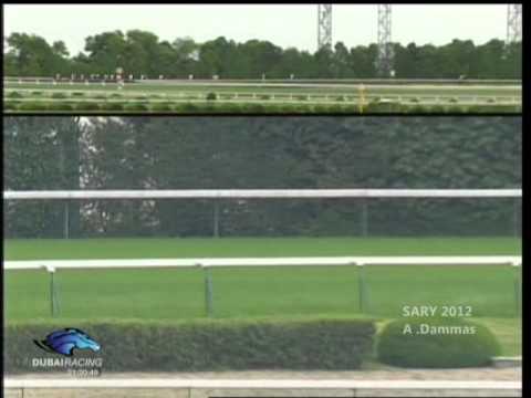 Beat Black   THE TENNO SHO 2012 G1 JAPAN