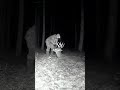 When He Realized It Wasn T Dead Always Make Sure Deer Hunting Deerhunting Funny Meme Ai