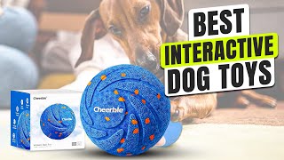 3 BEST Interactive Dog Toys