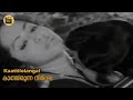 Kaattilolangal Video Song Kaathirunna Nimisham 1978 MK Arjunan P Jayachandran Central Talkies