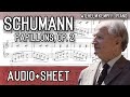Schumann - Papillons, op. 2 (Audio+Sheet) [Kempff]