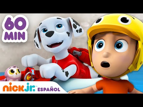 Paw Patrol, Patrulla de cachorros | ¡1 hora de rescates de la minipatrulla! | Nick Jr. en Español