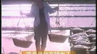 [問卦] 當自己站在陽光下 相信明天陽光依然燦爛?