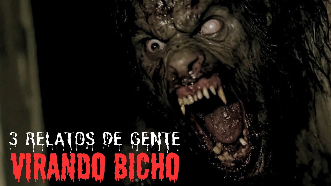 TRÊS RELATOS DE GENTE QUE VIRA BICHO.