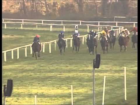 Galopprennbahn Dresden 16.11.2011 - 8.Rennen