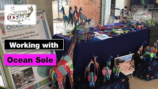 Incredible Oceans and Ocean Sole