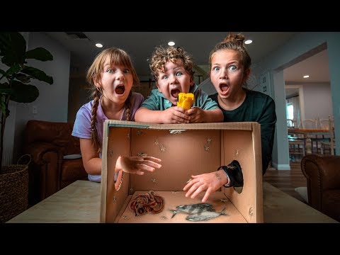 Three children lean over a cardboard box, mouths open in shock as a rubber snake and toy figures lie inside the box at their feet.