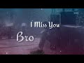 Miss You Bro Whatsapp Status