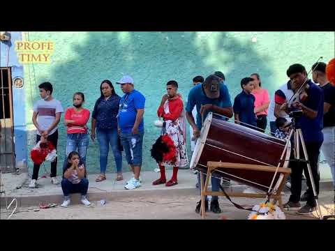 Son: "El Jinete". Danza de Pluma de "Pellín". "San Isidro Labrador".