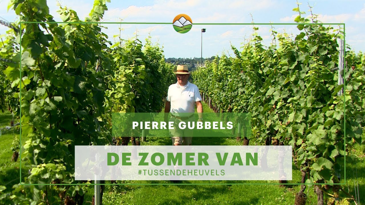 De zomer van: Pierre Gubbels