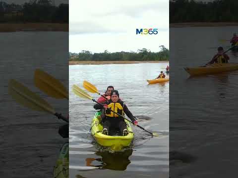 🌿 El rincón secreto de Maullín que parece detenido en el tiempo 🚣📍 Río Huimán | Maullín