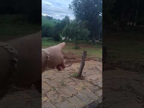 SERVIÇO NA FAZENDA SÃO JOSÉ DA BELA VISTA VARGINHA MG 