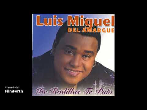 Yo no voy a negar que me gustas. Luis miguel del Amargue