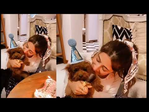 Nupur Sanon with her baccha