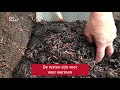 Zo maken wormen in Amersfoort compost van afval [RTV Utrecht]