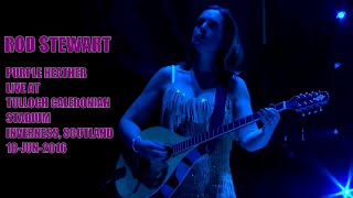 Rod Stewart - Purple Heather Live