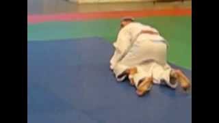 preview picture of video '01/02/2015 , judo , forges'