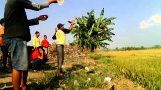 preview picture of video 'Merpati balap karang boyo'