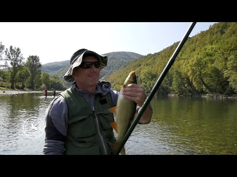 Ribolov skobalja na travu u Drini sve tajne za uspeshan ribolov otkrivaju lokalni majstori u par min