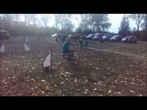 Ruby - 2. trojzkoušky agility Vychovaný pes