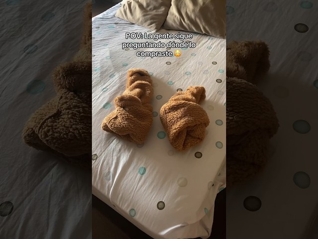 Vídeo relacionado con GOLDTOE Calcetines casuales con textura para mujer, multipares, Marrón Surtido (6 Pares), M