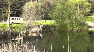 a Boy, a Bus, Tenkara.