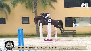 Video de Conthargosten Mil