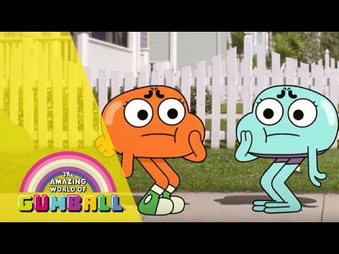 ガムボールの木「ガムボール」 植物