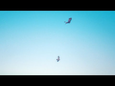 Video thumbnail for NIE MARTW SIĘ MAMO