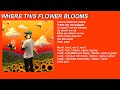 FLOWER BOY FULL ALBUM LYRICS ON SCREEN