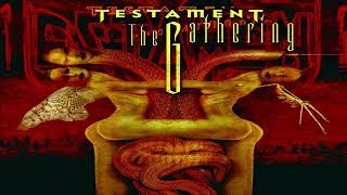 Testament - True Believer (B Tuning)