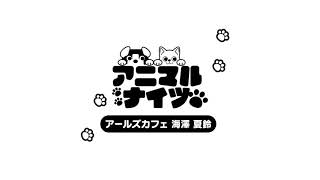 ナイツネットchannel