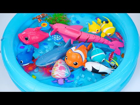 [ Toy asmr ] RC Blue Shark & Zuru Fish & Aquarium & Nino Fish Playset ASMR Satisfying with Unboxing