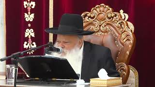 בראשית ספר האמונה | הרב דניאל זר (הרב דניאל זר) - התמונה מוצגת ישירות מתוך אתר האינטרנט יוטיוב. זכויות היוצרים בתמונה שייכות ליוצרה. קישור קרדיט למקור התוכן נמצא בתוך דף הסרטון