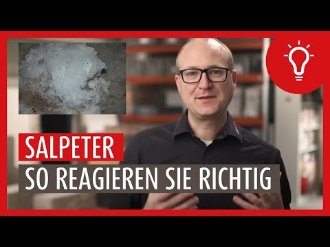 Detecting and removing saltpeter | How to react correctly to salt efflorescence. ✔️