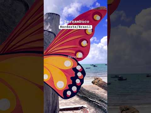 Praia Ponta de Pedras#nordeste #brasil #praiasdonordeste #turismo #pernambuco
